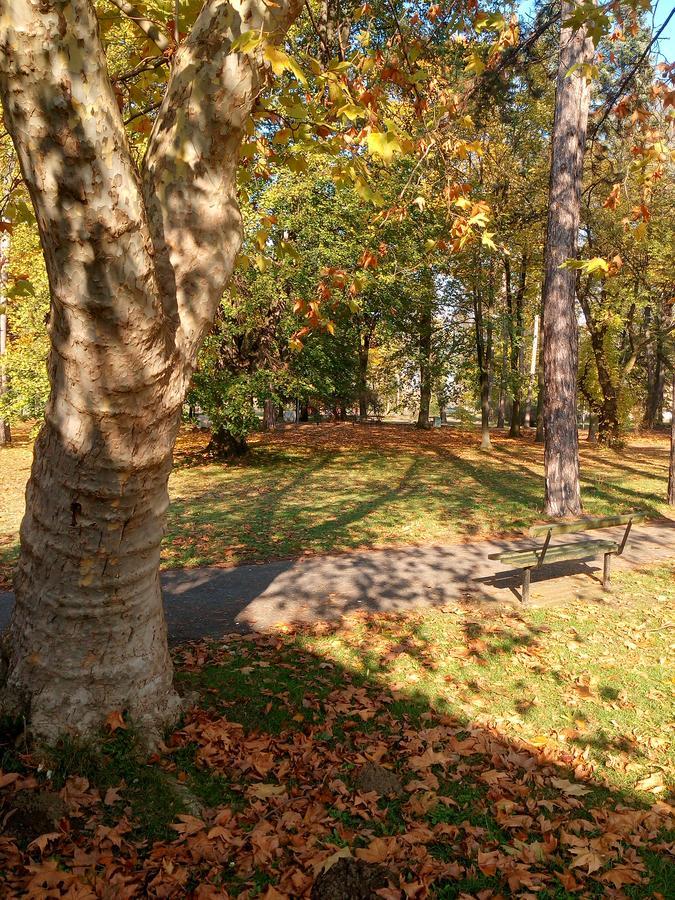 S' Centro - Park Apartments Kraljevo Bagian luar foto